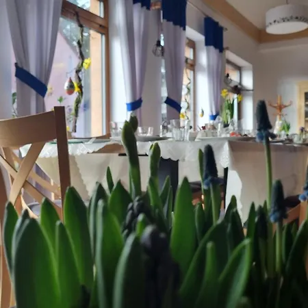 Apartment Zakatek Reja