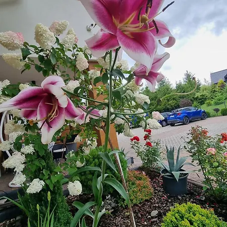 Zakatek Reja アパート