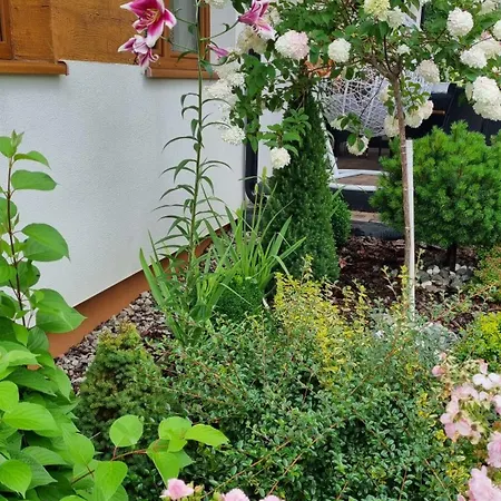 Zakatek Reja Appartamento