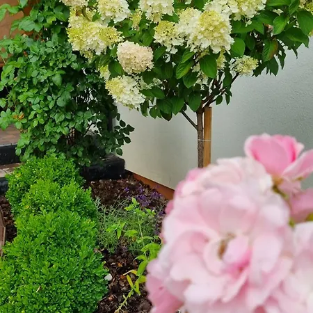 Zakatek Reja * Kartuzy