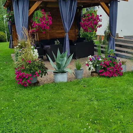 Zakatek Reja Kartuzy