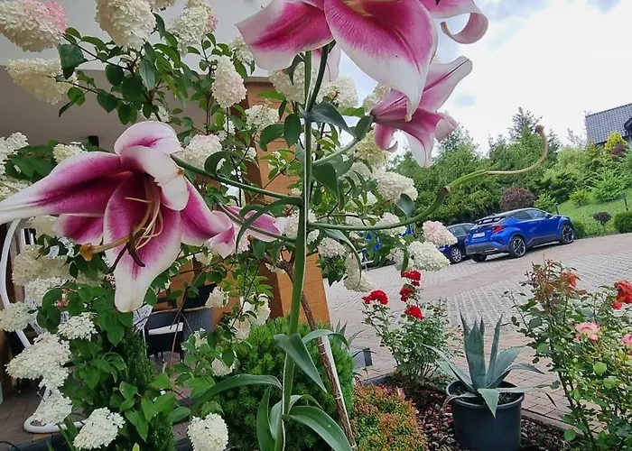 Zakatek Reja Apartmán