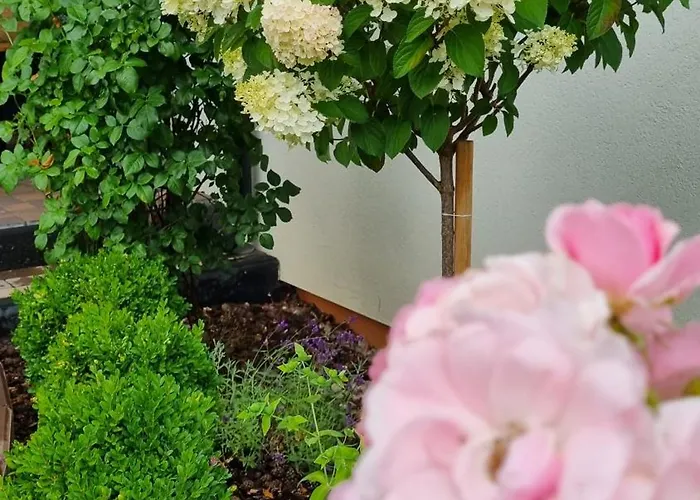 Zakatek Reja * Kartuzy