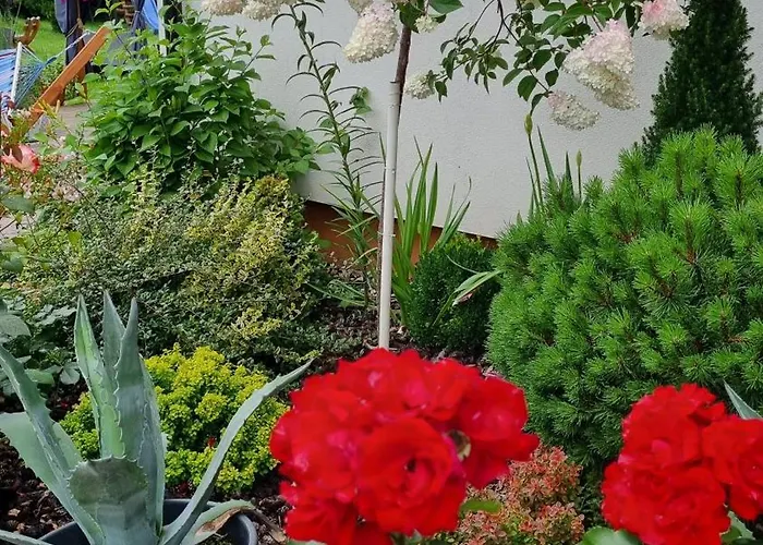 Apartmán Zakatek Reja Kartuzy