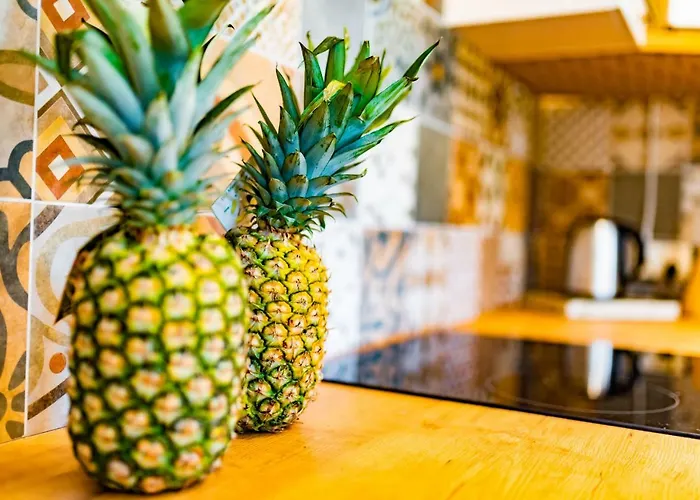 Zakatek Reja Apartmán Kartuzy